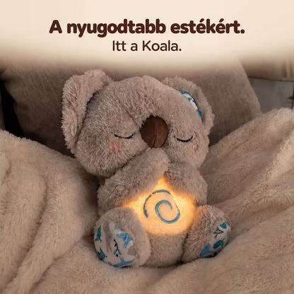 Kairo Koala - A lélegző plüss